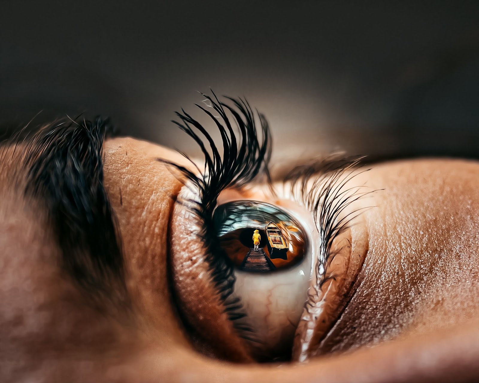 blur-close-up-depth-of-field-1786769