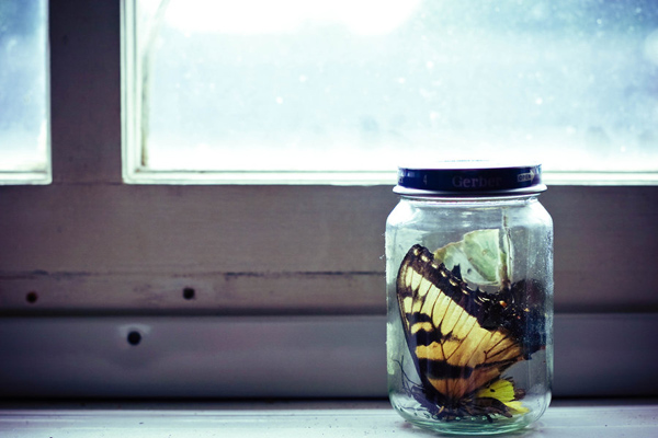 still-life-photography-023
