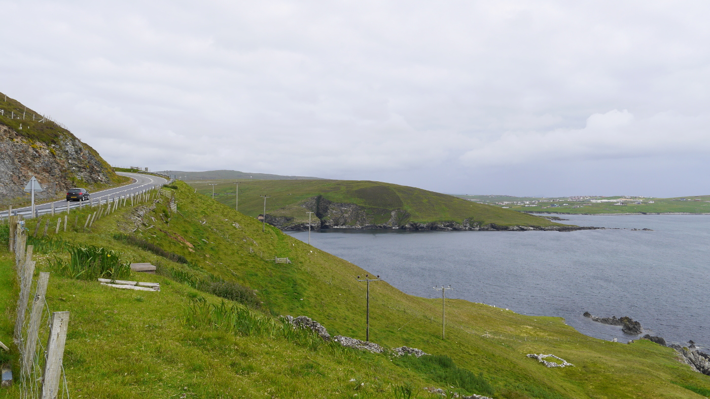 37.Shetlands