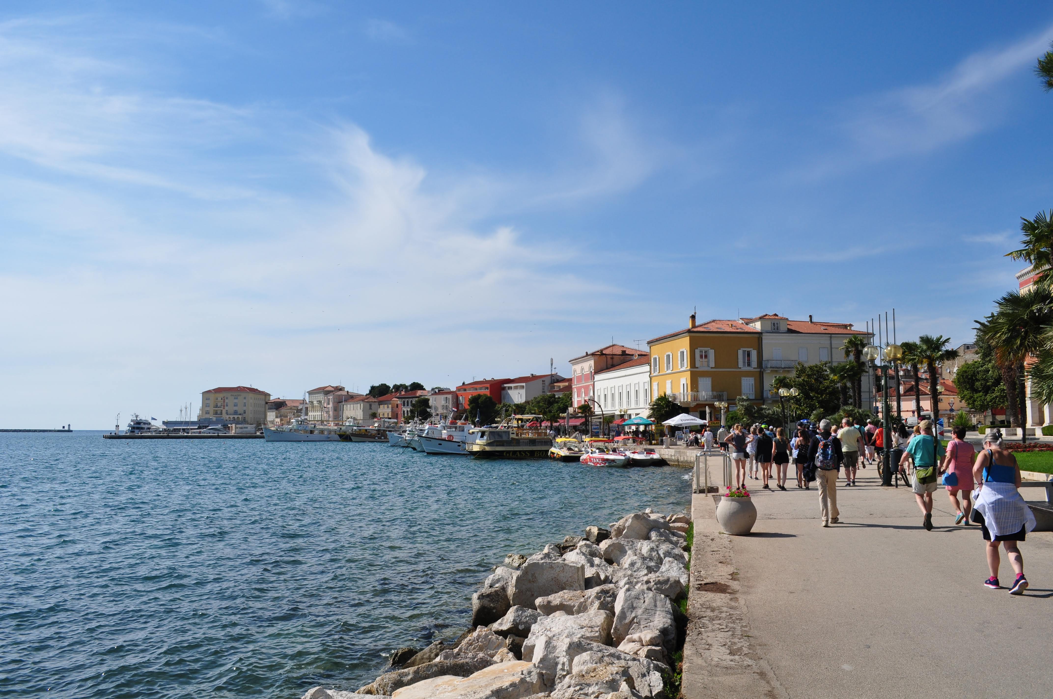 DSC\_0539