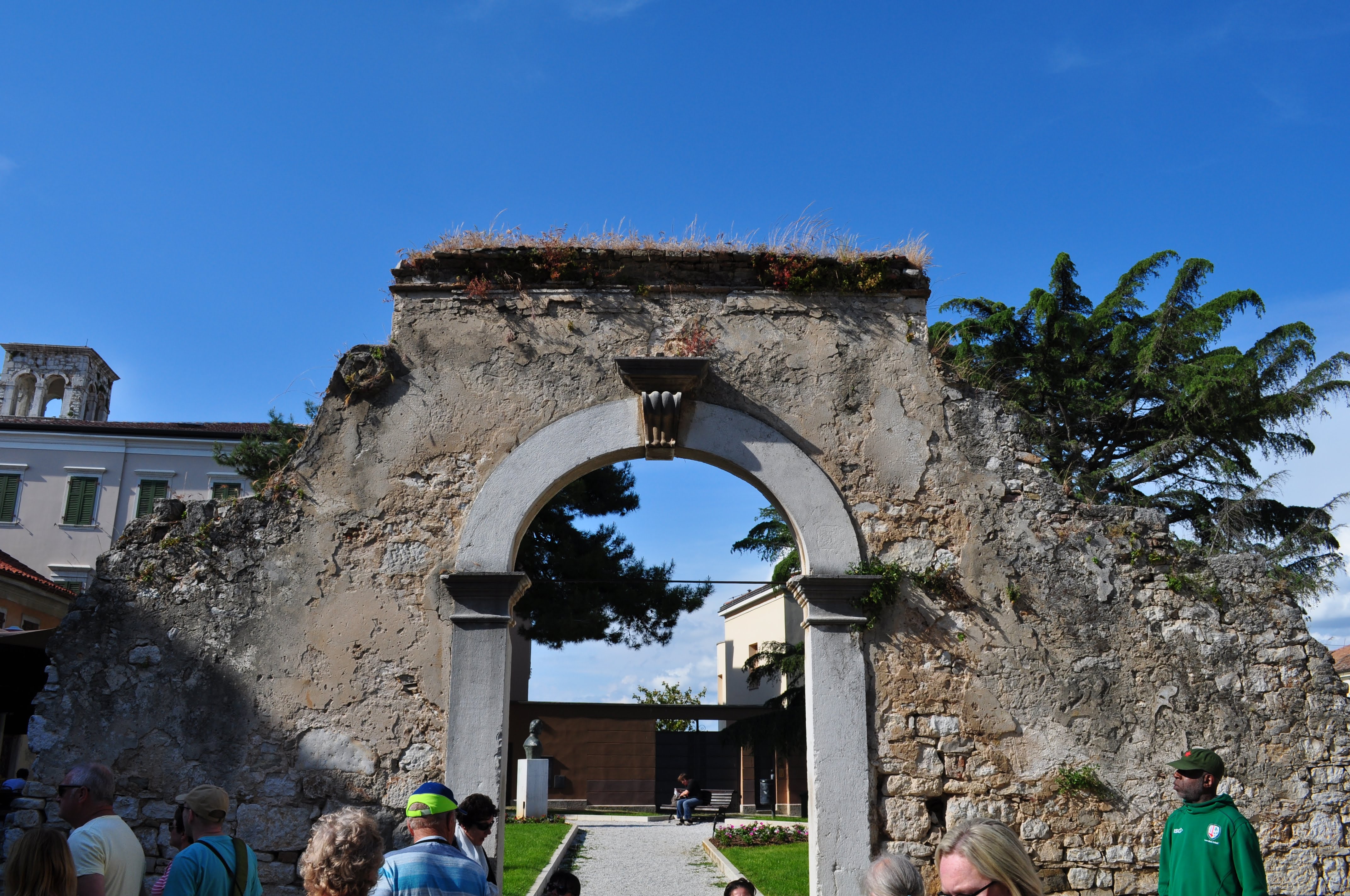 DSC\_0562